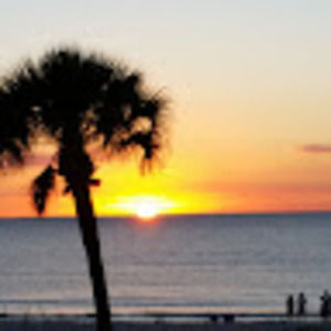 Meet your Posher, Mj